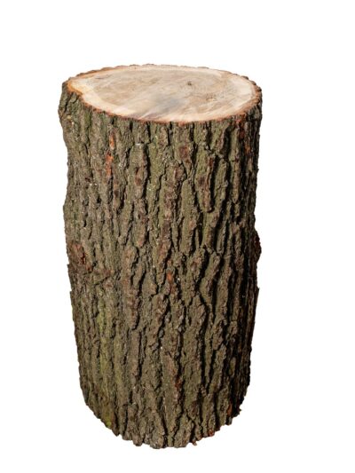 Hackklotz Hartholz Eiche, Höhe 80 cm